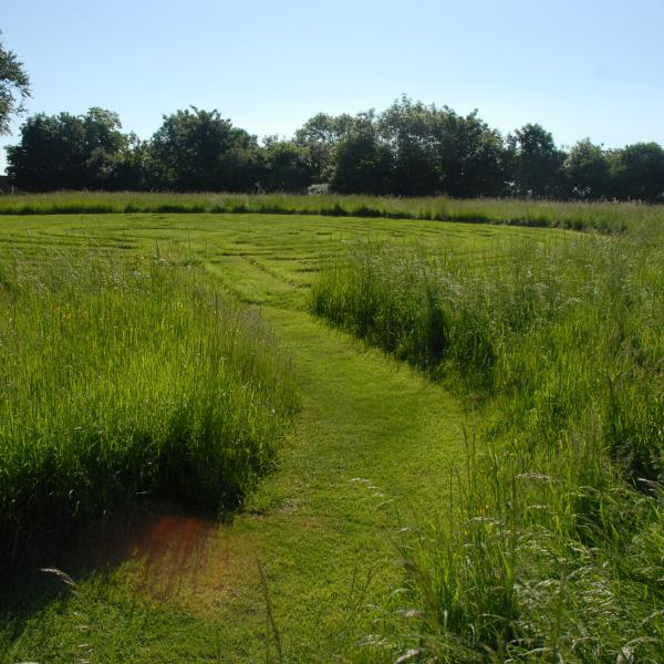 Labyrinth in meadow