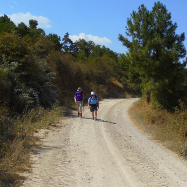 On the Ignatian Camino