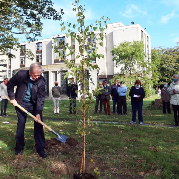 Tree Planting