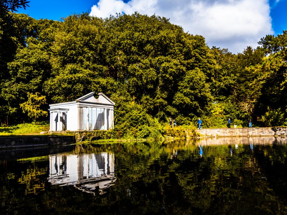 St Anne's Park (Photo by Fabrício Severo on Unsplash)